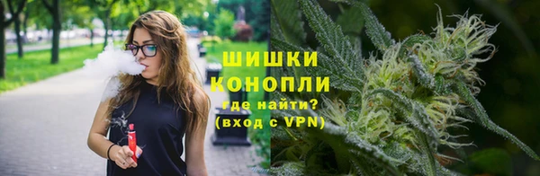 трава Гусиноозёрск