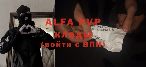 трава Гусиноозёрск