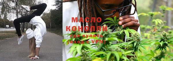 трава Гусиноозёрск