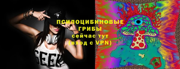 дживик Гусев