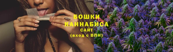 трава Гусиноозёрск